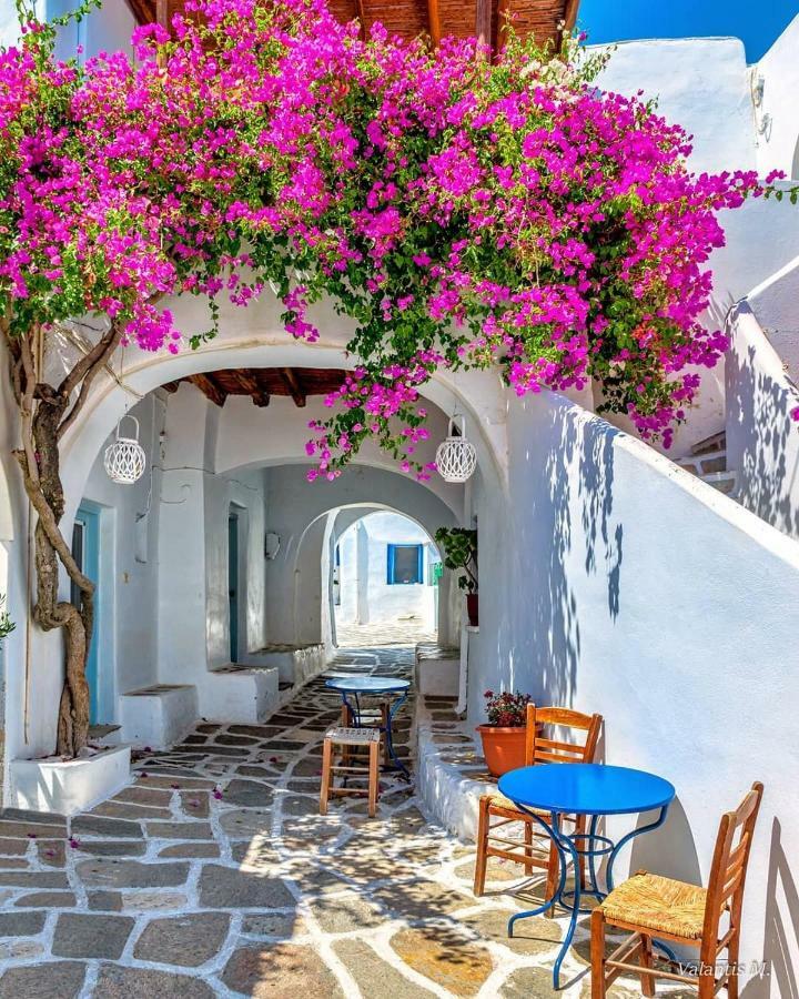 Villa Kavalli Paros Dhragoulas Экстерьер фото